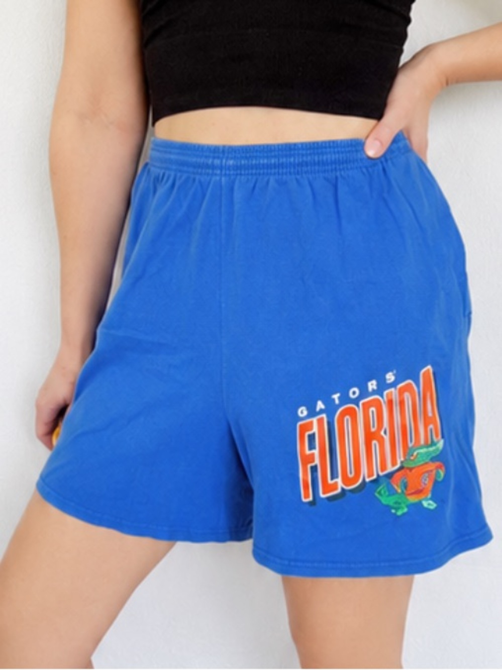 Vintage Hanes Heavyweight blue Florida Gators logo cotton gym shorts size large